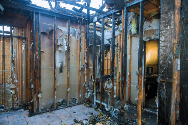 Professional Fire Damage Removal technician working in Berwyn, PA