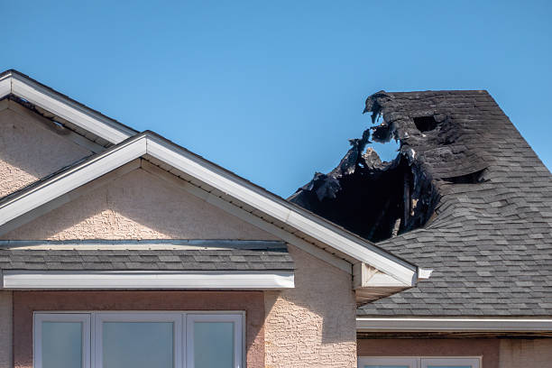 Top rated local Fire Damage Removal specialists in Berwyn, PA